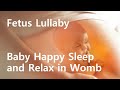 Music for pregnant women and Fetus in Wombs Meditation music for safe birth Mom's Sleep comfortably