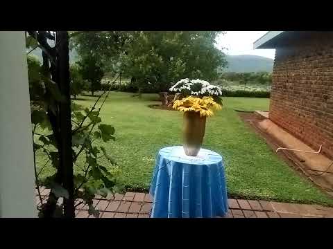 When my bride waits on me