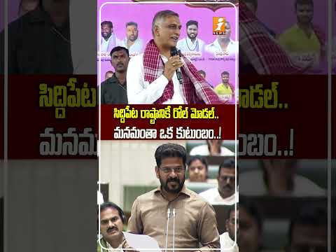category photo