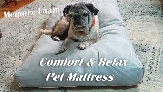 Memory Foam Pet Mattress 🍀COMFORT RELAX PET BED 👈
