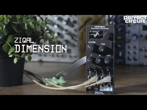 Ziqal Dimension : Polyphonic Wavetable Eurorack Modular Oscillator