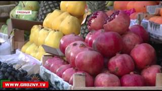 Величина прожиточного минимума в Чечне составляет 8 475 рублей