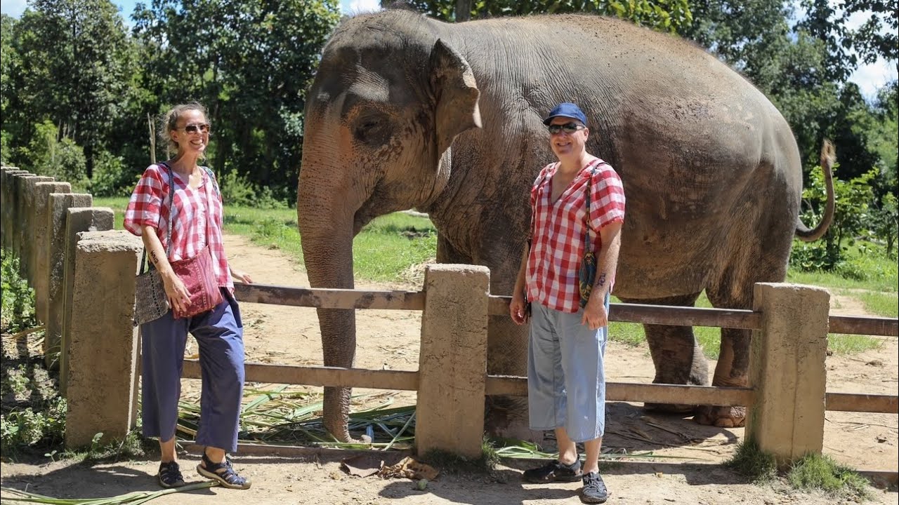 Travelers embark on a visit to Mae rim elephant sanctuary.