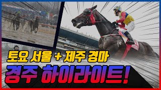 [토요 경마] 2025년 12월 6일 토요 경주 하이라이트 #경마 #한국마사회 #하이라이트