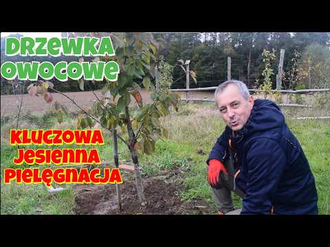 Fall Care Secrets: Fruit Trees: Key Steps to Guarantee a Great Harvest