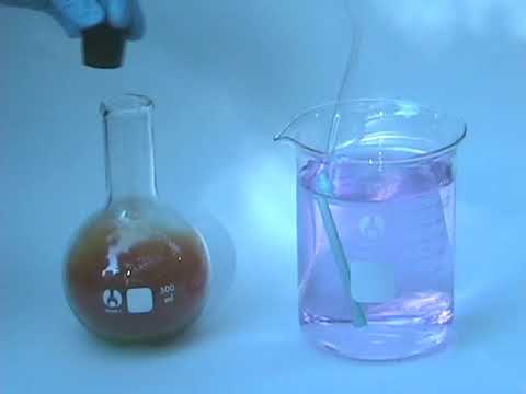 Copper Coin Dissolves in Nitric Acid