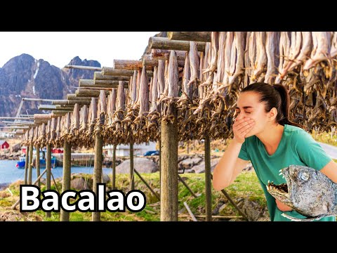 Así es como una fábrica de Bacalao en Noruega pesca y procesa miles de  bacalao al dia