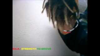 SOJA - Strength to Survive (Lyrics)