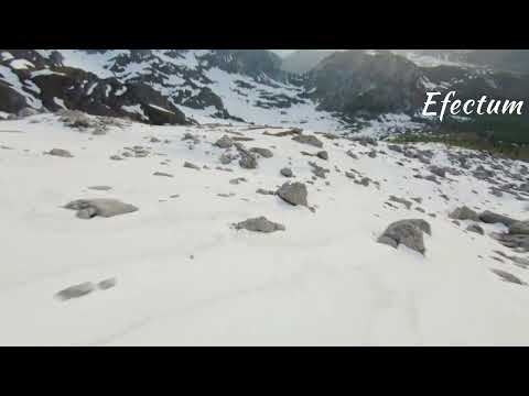 #nature #sky #sun #summer #beach #sunset #sunrise #flowers #tree #twilight #clouds #beauty  #weather