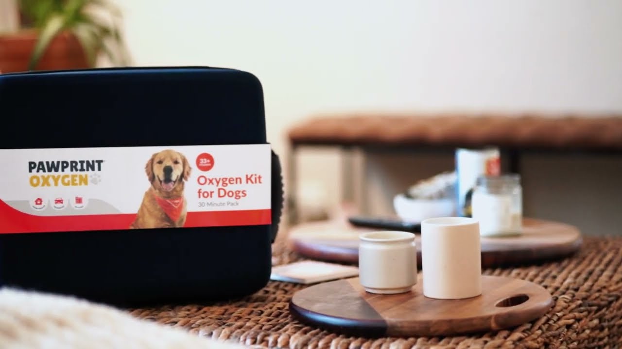 What's inside your pet's oxygen kit?