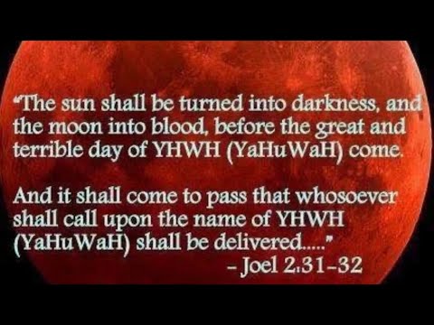 Die letzte Zeitlinie. Die Entrückung steht kurz bevor.