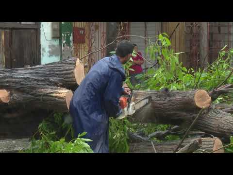 Evalúan en Granma los daños ocasionados tras el paso del huracán Melissa