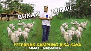 Download lagu Rahasia Peternak di Kampung Bisa Kaya Dari Pertanian, Perkebunan dan Ternak Kambing Domba mp3 Download lagu Rahasia Peternak di Kampung Bisa Kaya Dari Pertanian, Perkebunan dan Ternak Kambing Domba mp3