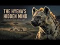 The Hyena’s Hidden Mind: Africa’s Most Misunderstood Predator