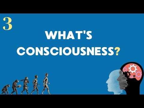 The Philosophical Origin of Psychology 1