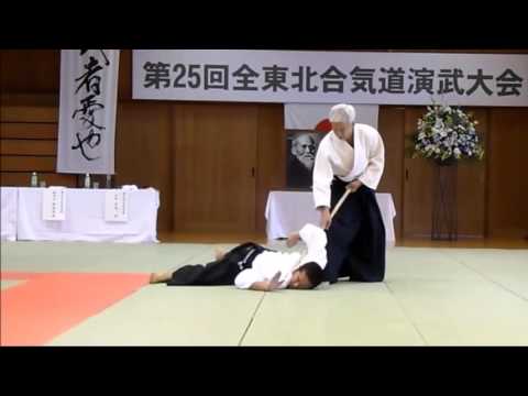 Beauty Of Aikido - Aikido Demo - Aikido highlights 2016
