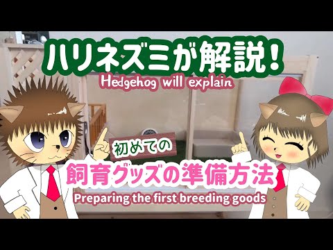 ハリネズミ上科について詳しく解説