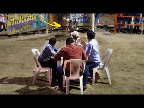 And they stared at each other! Those looks we all know WON'T END WELL! Rodeo Game