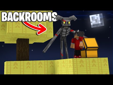 Vi Overlever På En BACKROOMS SKYBLOCK I Minecraft!