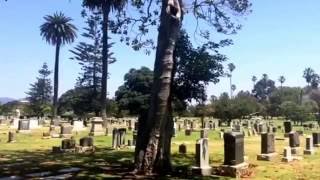 Summertime Cemetery Stroll... (Voyage to the Moon cover/Mary Hopkin)