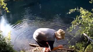 preview picture of video 'Maramec Springs Trout Fishing '14'