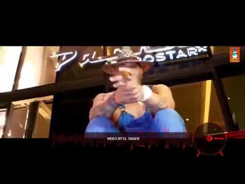 EL TAIGER ❌ J VALVIN  ❌ REGEUTON   = CUBATON 2019