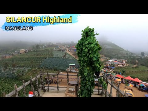 silancur-highland-magelang-tertawa-bersama-bushman-prank-prank-manusia-pohon