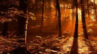 Luminary - Amsterdam (Smith & Pledger Remix) High quality