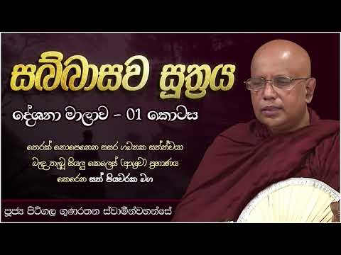 සබ්බාසව සූත්‍ර දේශනා මාලාව 01 - Sabbasawa Sutta 01 | Ven. Pitigala Gunaratana Thero