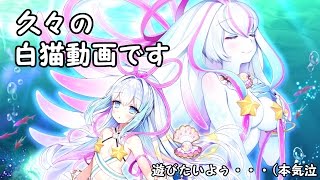 【白猫】久々に白猫実況。気づいたらこんなになってた。【実況】