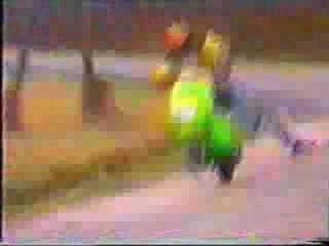 Goran Gajić - The History