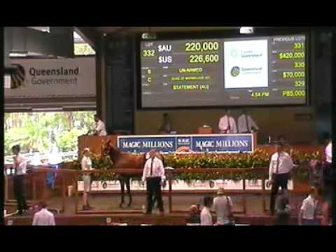 2012 Gold Coast Yearling Sale Lots 321 - 340