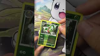 Autopolitur bei Pokemon Karten? Funktioniert! 😄