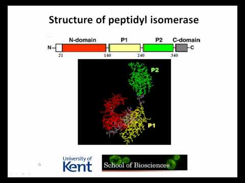 My research on drug design
