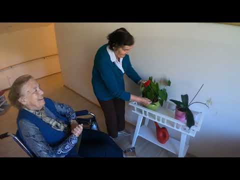 Zgodba stanovalcev in zaposlenih Doma Viharnik