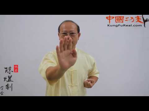 wing chun course online----wing chun  form  tutorial
