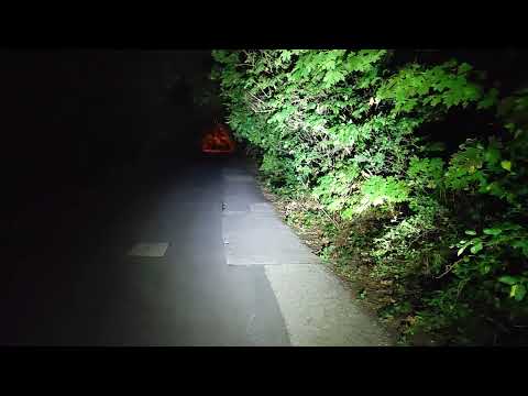 NiteRider Lumina™ Micro 900 Bike Headlight – Night Test