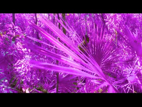 JOMI - Don't Wanna Feel (Visualizer)