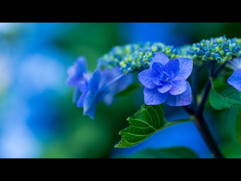 [PlayList] OCTOBER(악토버) 음악 모음