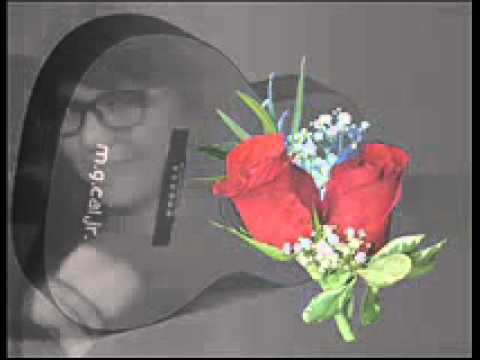 SLOW MOTION BOSSA NOVA