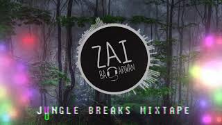 Download lagu JUNGLE TERROR & BREAKS MIXTAPE 2017 mp3 Download lagu JUNGLE TERROR & BREAKS MIXTAPE 2017 mp3