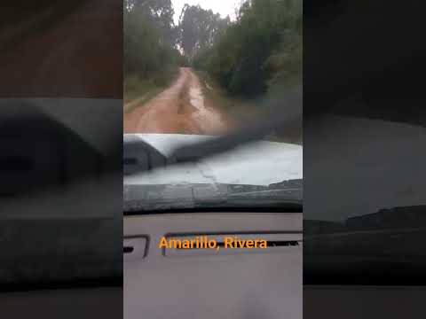 Amarillo, Rivera,  Uruguay