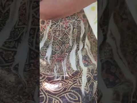 Dahmer de perros Los Andes: exclusivo