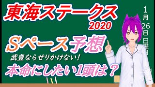 【競馬予想】東海ステークス2020 スローペース！？本命にしたい１頭はこの馬！！