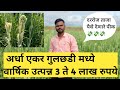 गुलछडी लागवड कधी लागवड कधी करावी निशि�