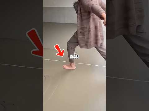 Chú Chó Nhỏ Suýt Phá Hỏng Ngày Đặc Biệt Của Cả Gia Đình 🤔