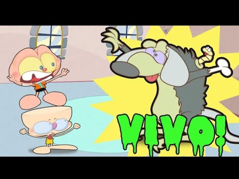 Mongo e Drogo me  Defuntinho Revive Desenho animado com bichos de estimação de Mondo e Drongo