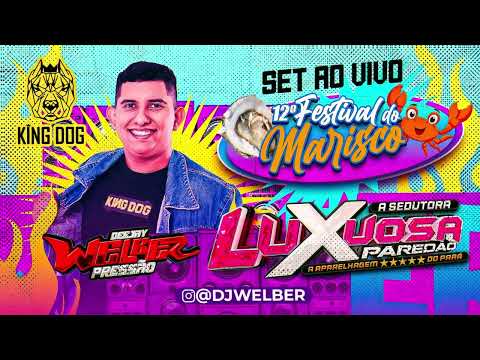 SET AO VIVO FESTIVAL DO MARISCO 2025 LUXUOSA PAREDÃO VILA PORTO ALEGRE (marapanim )DJ WELBER PRESSÃO
