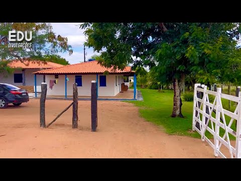 PISEIRO DE PAREDÃO 2025 BATIDÃO BRUTO DAS VAQUEJADAS