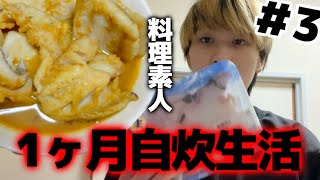 【The,男飯】この味付けしとけば間違いない料理が完成しましたw【1ヶ月ルーレット自炊生活＃3】